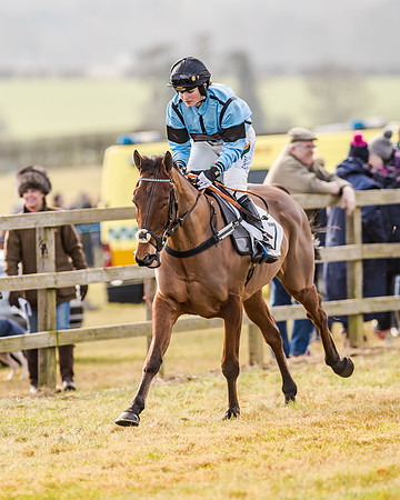 Race 2 - Young Horse Maiden (11 of 51)