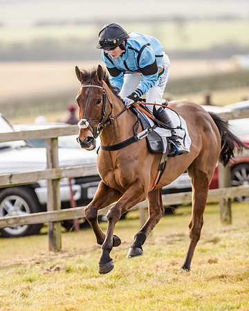 Race 2 - Young Horse Maiden (12 of 51)