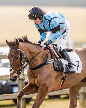 Race 2 - Young Horse Maiden (13 of 51)
