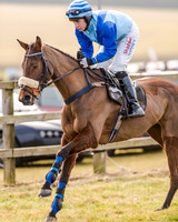 Race 2 - Young Horse Maiden (16 of 51)
