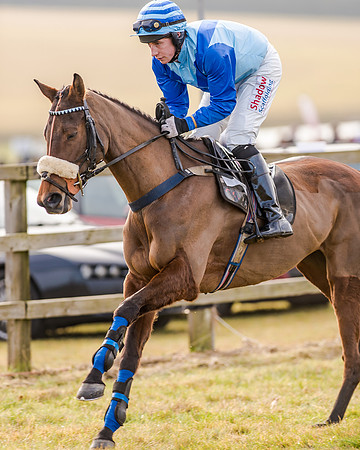 Race 2 - Young Horse Maiden (16 of 51)