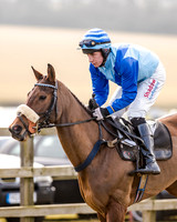 Race 2 - Young Horse Maiden (17 of 51)