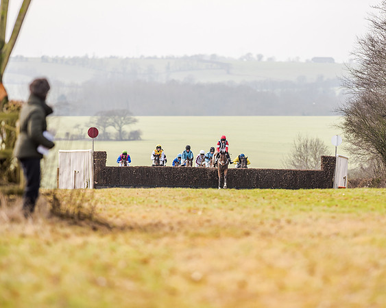 Race 2 - Young Horse Maiden (19 of 51)