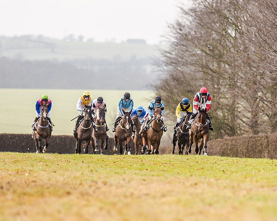 Race 2 - Young Horse Maiden (20 of 51)