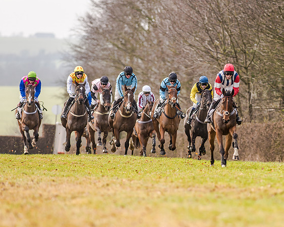 Race 2 - Young Horse Maiden (21 of 51)