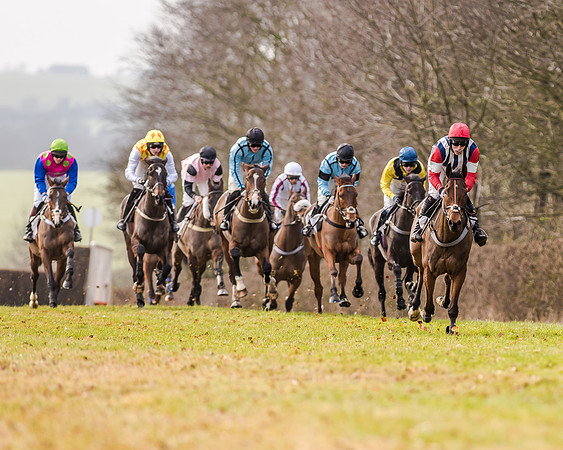 Race 2 - Young Horse Maiden (22 of 51)