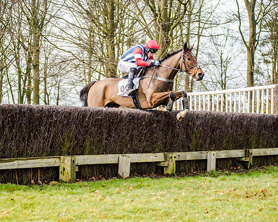 Race 2 - Young Horse Maiden (24 of 51)