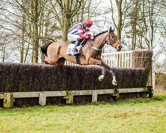 Race 2 - Young Horse Maiden (25 of 51)
