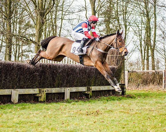 Race 2 - Young Horse Maiden (26 of 51)