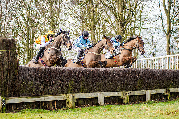Race 2 - Young Horse Maiden (27 of 51)