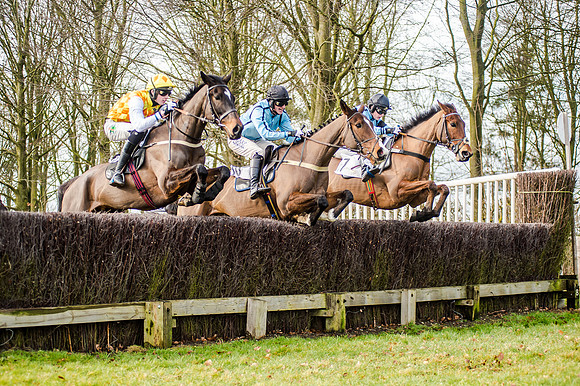 Race 2 - Young Horse Maiden (28 of 51)