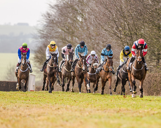 Race 2 - Young Horse Maiden (23 of 51)