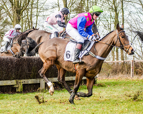 Race 2 - Young Horse Maiden (31 of 51)