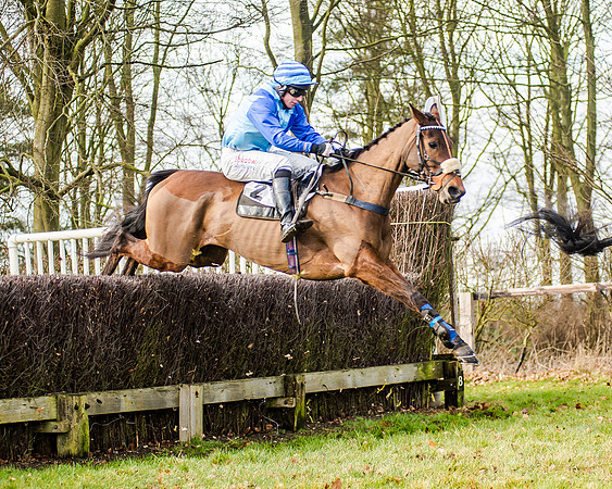 Race 2 - Young Horse Maiden (32 of 51)