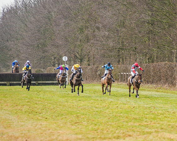 Race 2 - Young Horse Maiden (33 of 51)