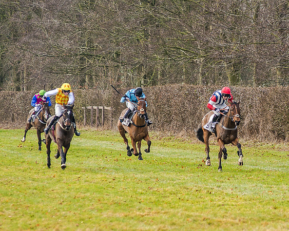 Race 2 - Young Horse Maiden (34 of 51)