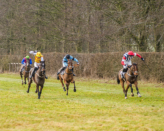 Race 2 - Young Horse Maiden (35 of 51)