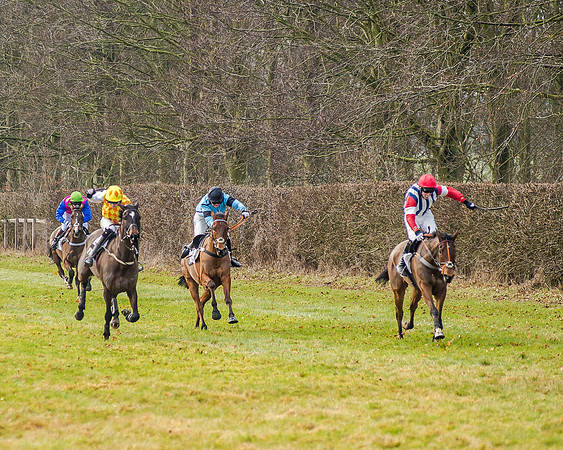 Race 2 - Young Horse Maiden (36 of 51)