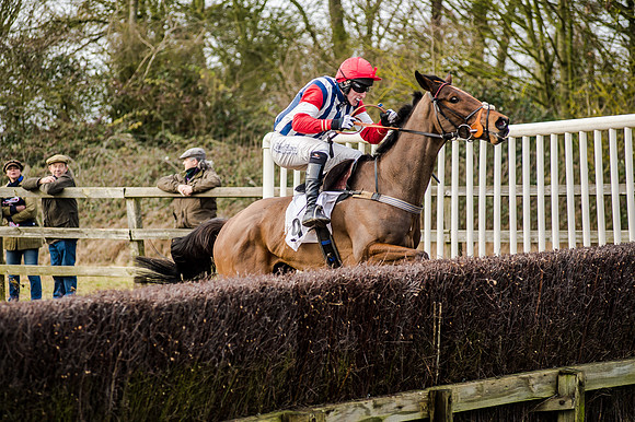 Race 2 - Young Horse Maiden (37 of 51)