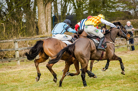 Race 2 - Young Horse Maiden (39 of 51)