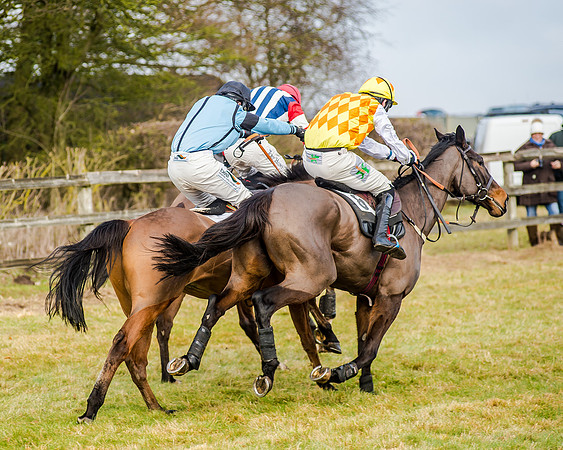 Race 2 - Young Horse Maiden (40 of 51)