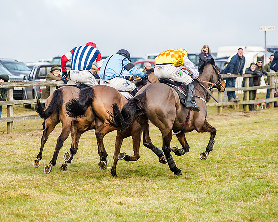 Race 2 - Young Horse Maiden (41 of 51)