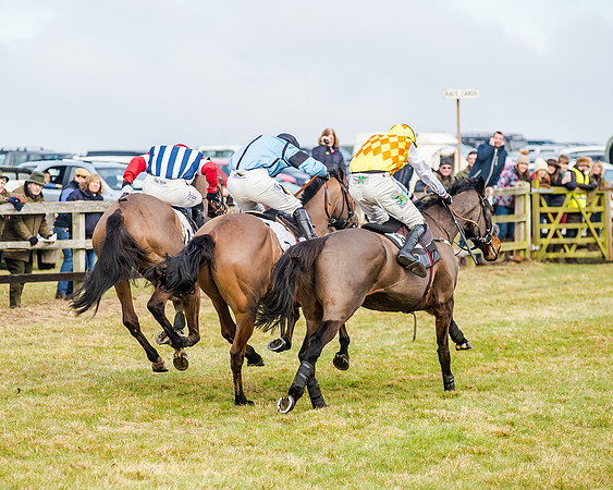 Race 2 - Young Horse Maiden (42 of 51)