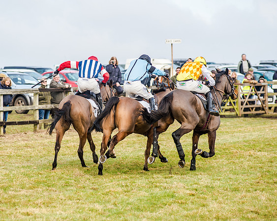 Race 2 - Young Horse Maiden (43 of 51)