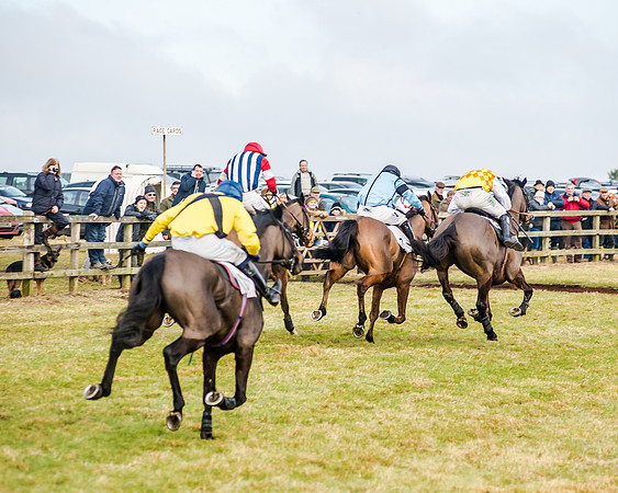 Race 2 - Young Horse Maiden (44 of 51)