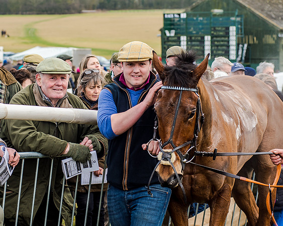 Race 2 - Young Horse Maiden (50 of 51)