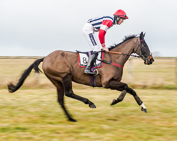 Race 3 - Novice RIders (2 of 68)