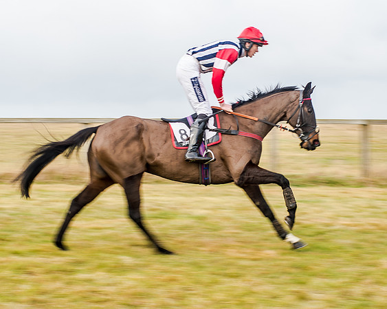 Race 3 - Novice RIders (3 of 68)