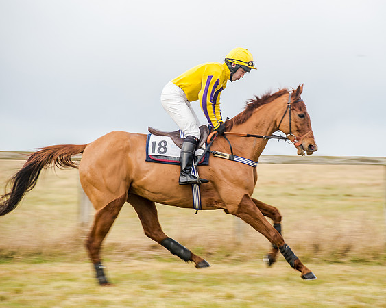 Race 3 - Novice RIders (5 of 68)
