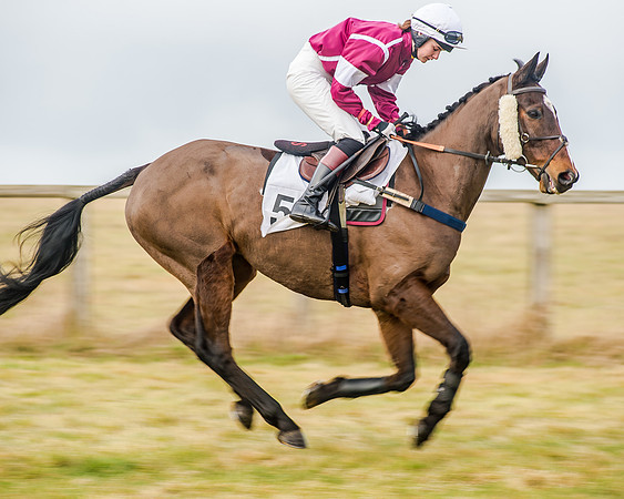 Race 3 - Novice RIders (15 of 68)