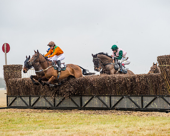 Race 5 - Ladies Open (1 of 26)