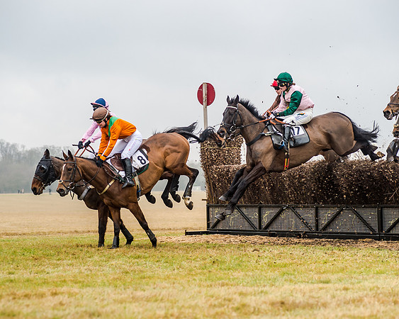 Race 5 - Ladies Open (5 of 26)