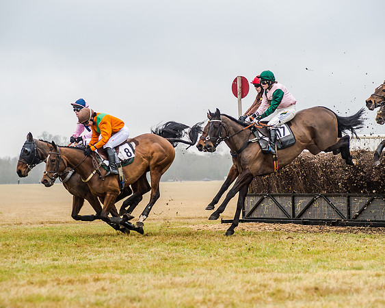 Race 5 - Ladies Open (6 of 26)