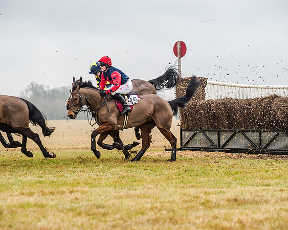 Race 5 - Ladies Open (9 of 26)
