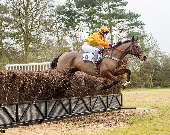 Race 5 - Ladies Open (24 of 26)
