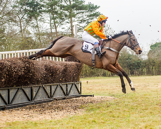 Race 5 - Ladies Open (25 of 26)