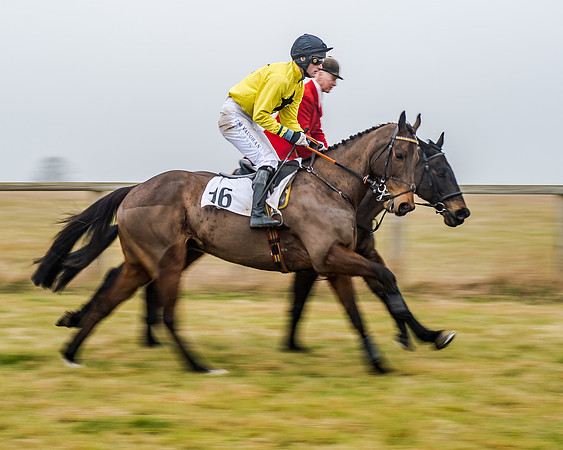 Race 7 - Open Maiden (2 of 55)