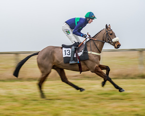 Race 7 - Open Maiden (3 of 55)