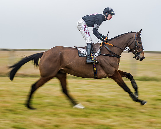 Race 7 - Open Maiden (5 of 55)