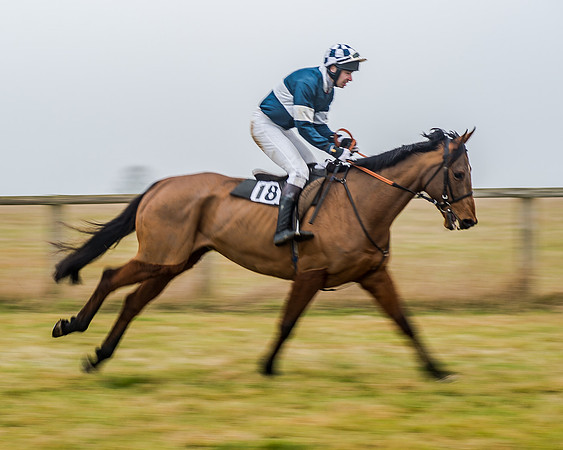 Race 7 - Open Maiden (8 of 55)