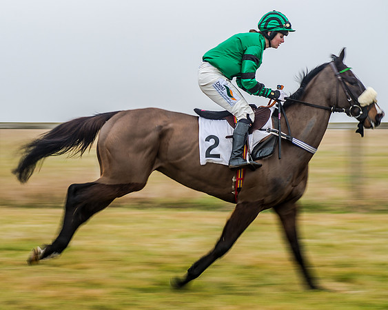 Race 7 - Open Maiden (9 of 55)
