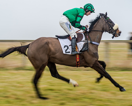 Race 7 - Open Maiden (10 of 55)
