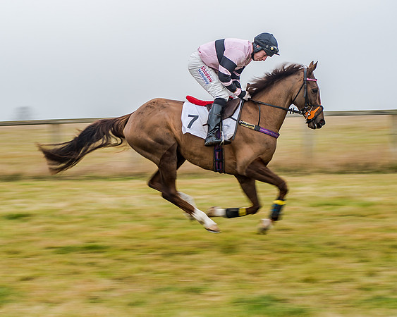 Race 7 - Open Maiden (11 of 55)