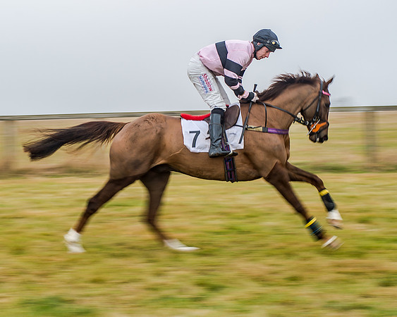 Race 7 - Open Maiden (12 of 55)