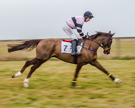 Race 7 - Open Maiden (13 of 55)
