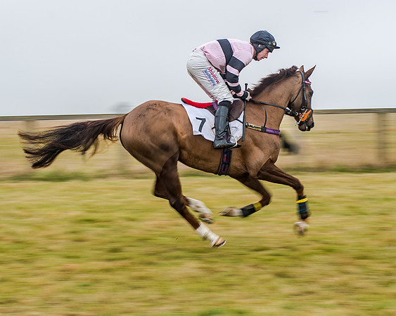 Race 7 - Open Maiden (14 of 55)